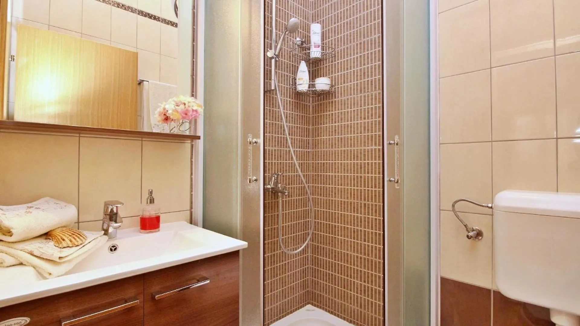 Apartment Ivanka Soline